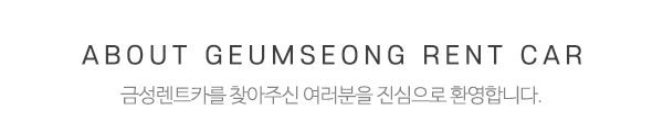 금성렌트카_상단제목
