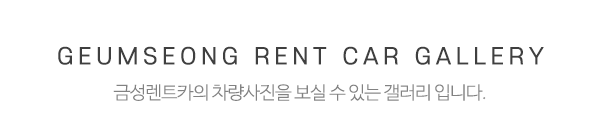 금성렌트카_하단제목